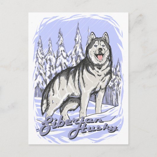 Siberian Husky Briefkaart (Voorkant)