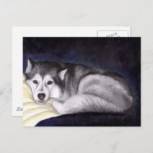 Siberian Husky Briefkaart (Voorkant / Achterkant)