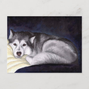 Siberian Husky Briefkaart