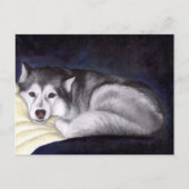 Siberian Husky Briefkaart (Voorkant)