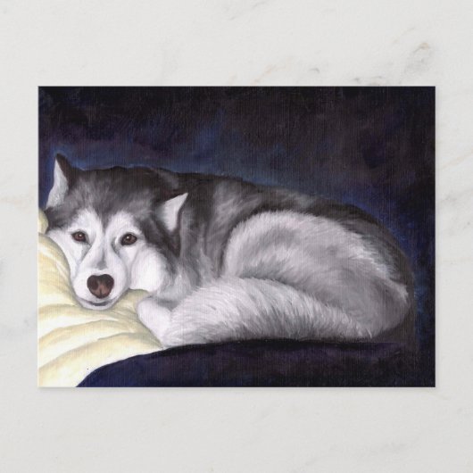 Siberian Husky Briefkaart (Voorkant)