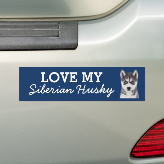 Siberian Husky bumper sticker (Op auto)