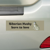 Siberian Husky Bumpersticker (Op auto)