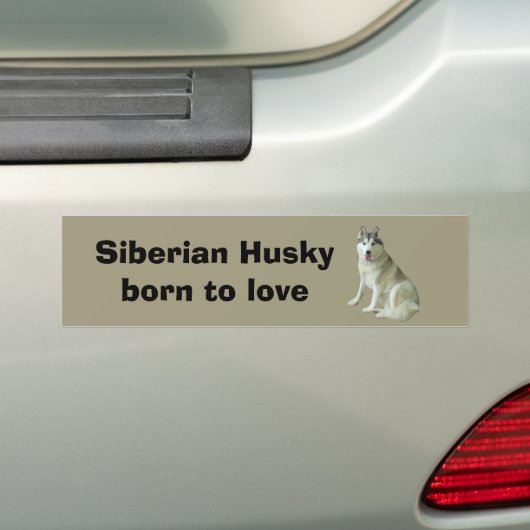 Siberian Husky Bumpersticker (Op auto)