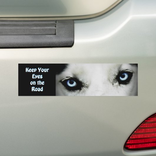 Siberian Husky Bumpersticker (Op auto)