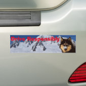 Siberian Husky Bumpersticker (Op auto)