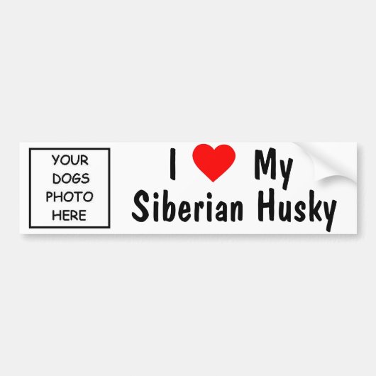 Siberian Husky Bumpersticker (Voorkant)