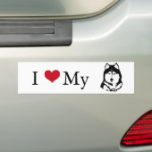 Siberian Husky Bumpersticker (Op auto)