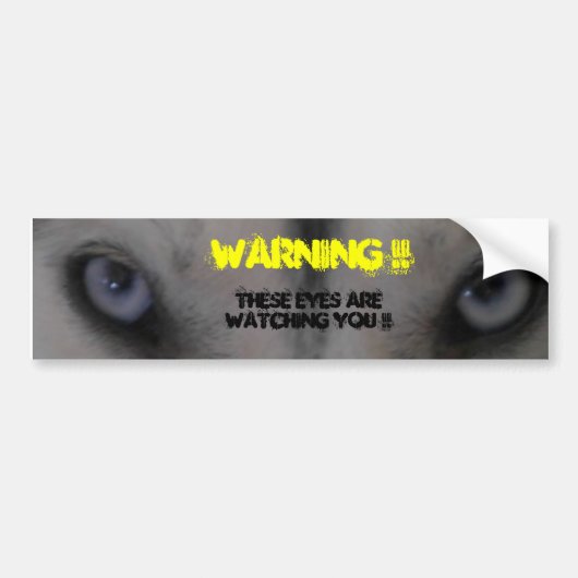 Siberian Husky Bumpersticker (Voorkant)