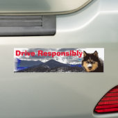 Siberian Husky Bumpersticker (Op auto)