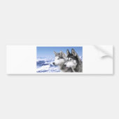 Siberian Husky Bumpersticker (Voorkant)