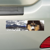 Siberian Husky Bumpersticker (Op auto)