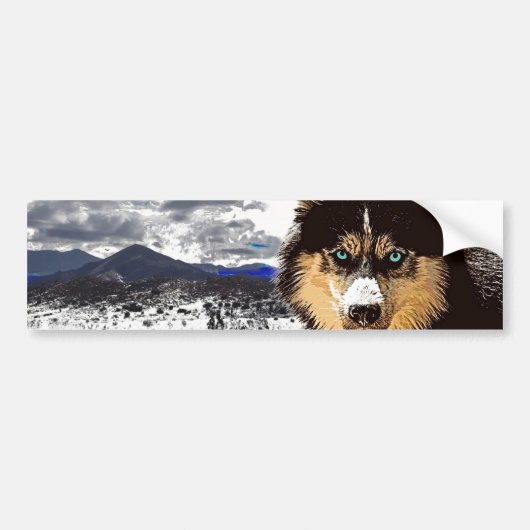 Siberian Husky Bumpersticker (Voorkant)