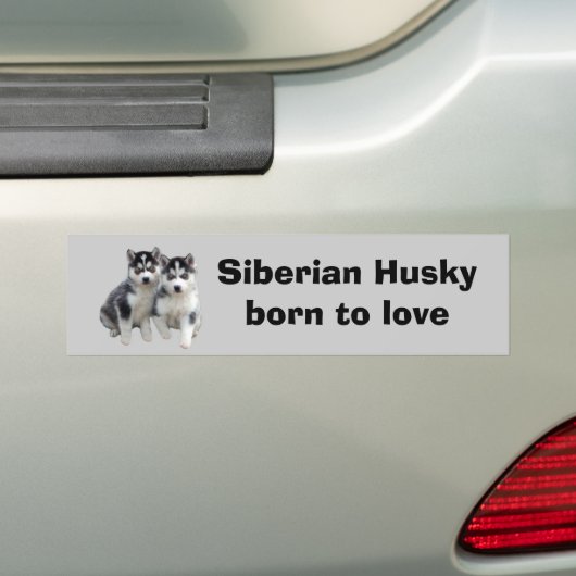 Siberian Husky Bumpersticker (Op auto)