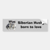 Siberian Husky Bumpersticker (Voorkant)