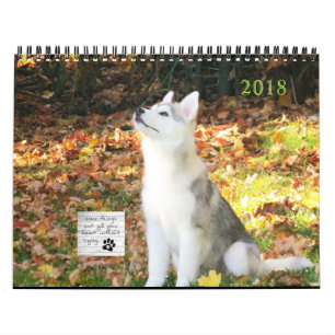 Siberian Husky Calendar Kalender
