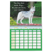 Siberian Husky Calendar Kalender (Mar 2027)