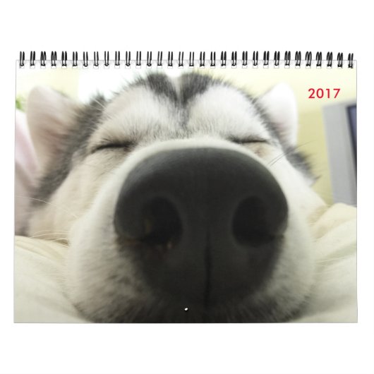 Siberian Husky Calendar Kalender (Hoes)