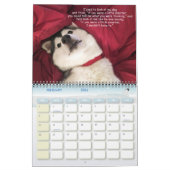 Siberian Husky Calendar Kalender (Feb 2026)