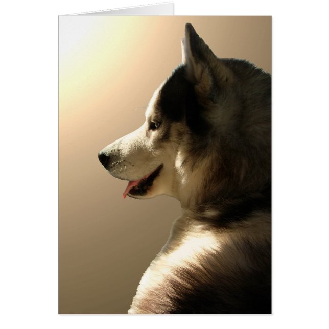 Siberian Husky Card/Alaskan Malamute Card (Voorkant)