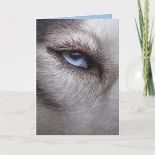 Siberian Husky Card Alaskan Malamute Card Kaart