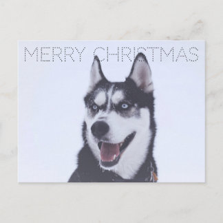 Siberian Husky-Christmas Feestdagenkaart