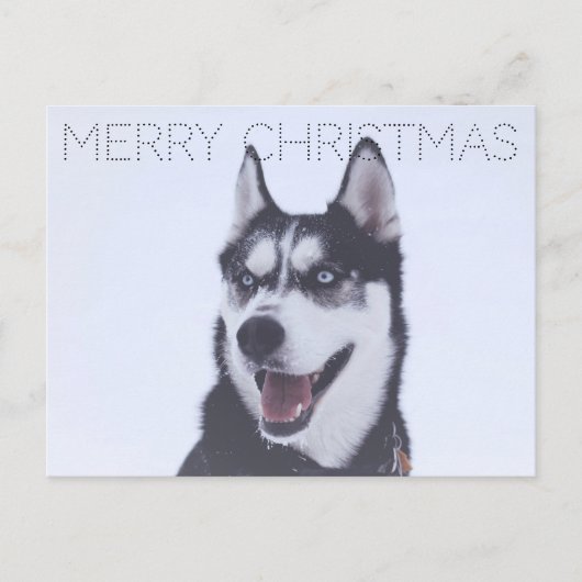 Siberian Husky-Christmas Feestdagenkaart (Voorkant)