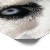 Siberian Husky Demon 3 Poster (Hoek)