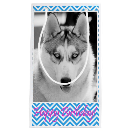 Siberian Husky Dog Blue Happy Birthday Klein Cadeauzakje (Voorkant)