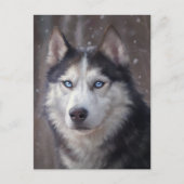 Siberian Husky Dog Briefkaart (Voorkant)