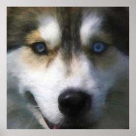SIBERIAN HUSKY DOG "FAR EYES" POSTER