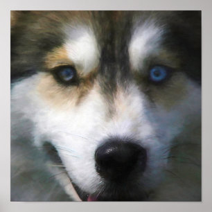 SIBERIAN HUSKY DOG "FAR EYES" POSTER