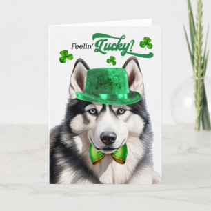 Siberian Husky Dog Feelin' Lucky St Patrick's Day Feestdagen Kaart
