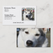 Siberian Husky Dog Foto Visitekaartje (Voorkant / Achterkant)