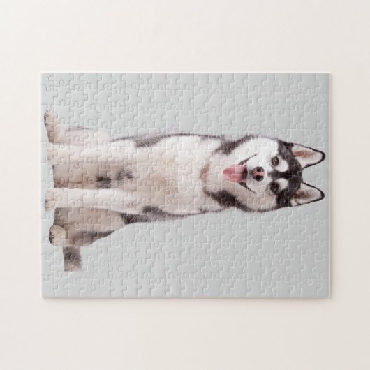 Siberian Husky Dog Legpuzzel (Horizontaal)