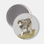 Siberian Husky Dog Magneet (Voorkant / Achterkant)