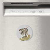Siberian Husky Dog Magneet (Insitu (Vaatwasser))