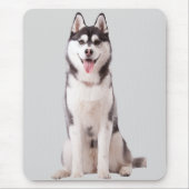Siberian Husky Dog Muismat (Voorkant)