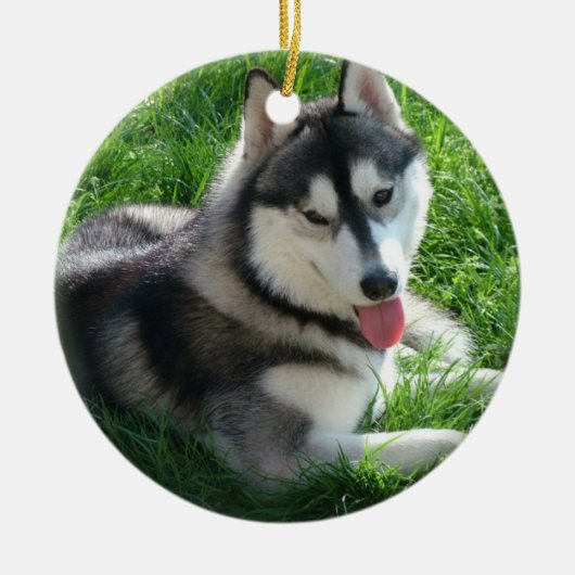Siberian Husky Dog Ornament (Voorkant)