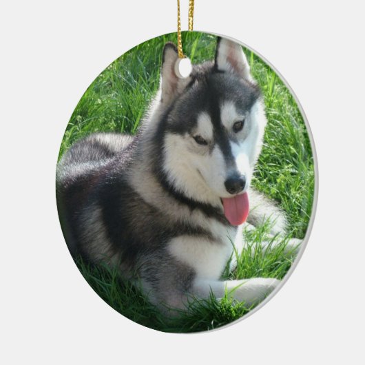 Siberian Husky Dog Ornament (Links)