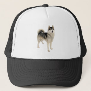 Siberian Husky Dog Pet Animal Custom