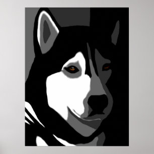 Siberian Husky Dog Poster