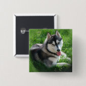 Siberian Husky Dog Square Pin Vierkante Button 5,1 Cm (Voorkant /achterkant)