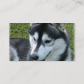 Siberian Husky Dog Visitekaartje (Achterkant)