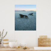 Siberian Husky Dogs, Global Warming Poster (Keuken)