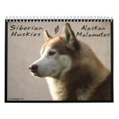 Siberian Husky Dogs Wall Calendar Kalender (Hoes)