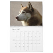 Siberian Husky Dogs Wall Calendar Kalender (Mar 2027)