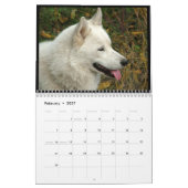 Siberian Husky Dogs Wall Calendar Kalender (Feb 2027)