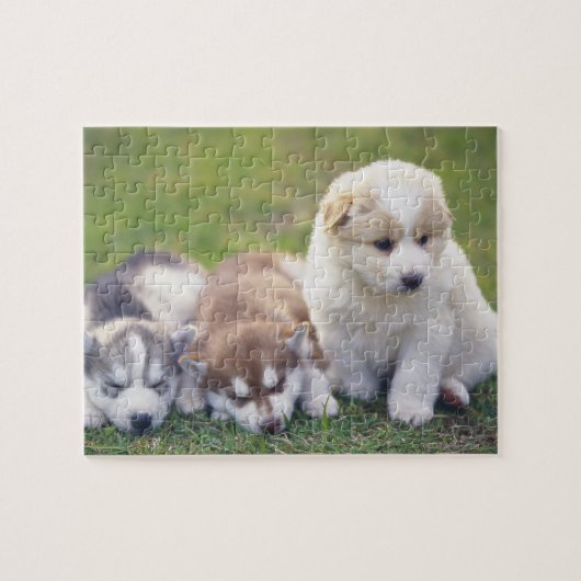 Siberian Husky; een werkend hondenras dat Legpuzzel (Horizontaal)