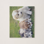 Siberian Husky; een werkend hondenras dat Legpuzzel (Verticaal)